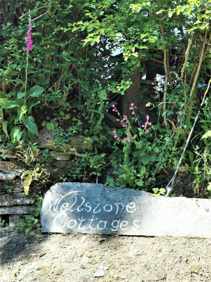 Wellstone Cottages - Coach House Llanfyrnach Kültér fotó